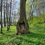 Vakantiehuis Zurawia Kraina *