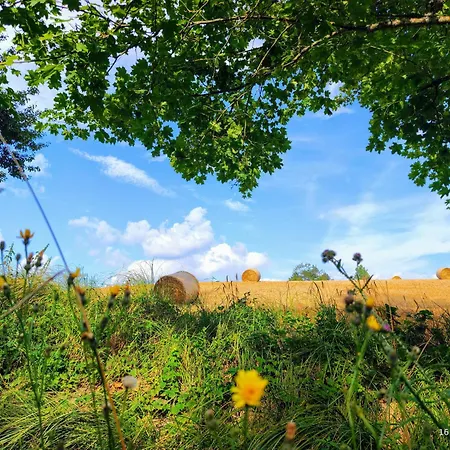 Holiday home Zurawia Kraina