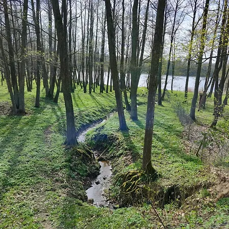 Zurawia Kraina Bitkowo (Goldap)