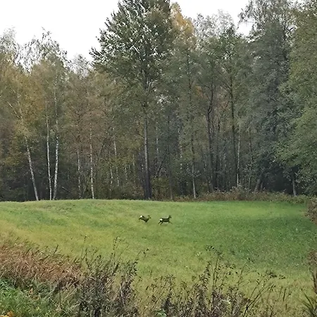 Holiday home Zurawia Kraina *