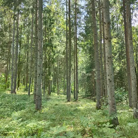 Holiday home Zurawia Kraina *