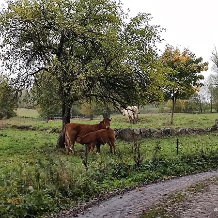 żurawia Kraina *