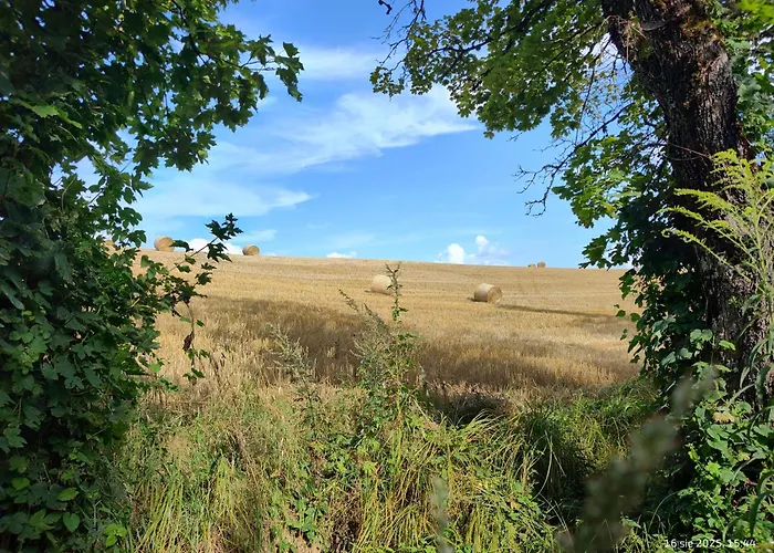 Zurawia Kraina Holiday home *