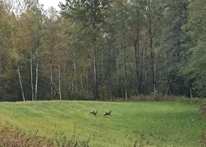 Dom wakacyjny żurawia Kraina *