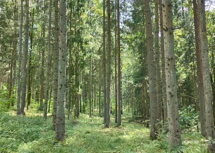 Dom wakacyjny żurawia Kraina *