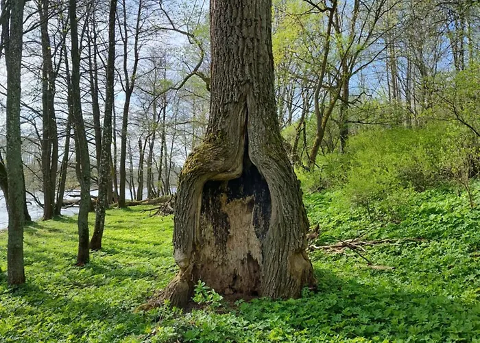 Dom wakacyjny żurawia Kraina *