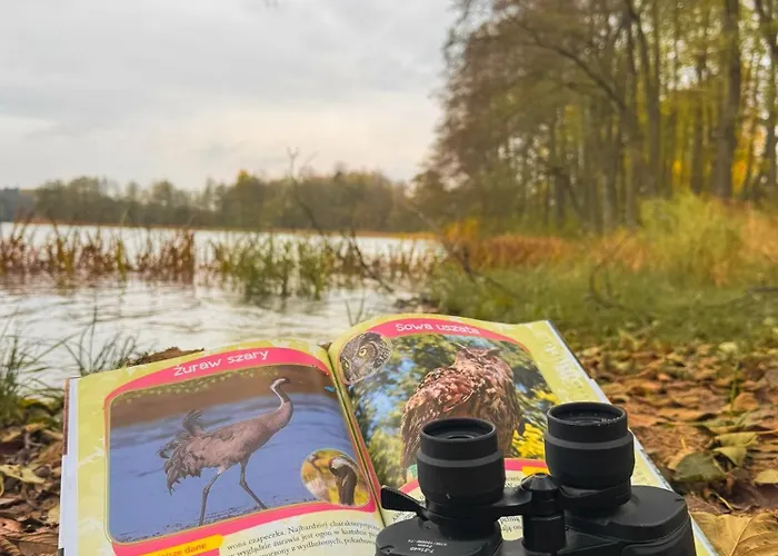 Dom wakacyjny żurawia Kraina Bitkowo (Goldap)
